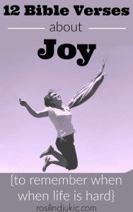 12 Bible Verses About Joy