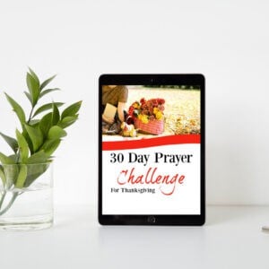 30 Day Prayer Challenge {Renewing the Mind}