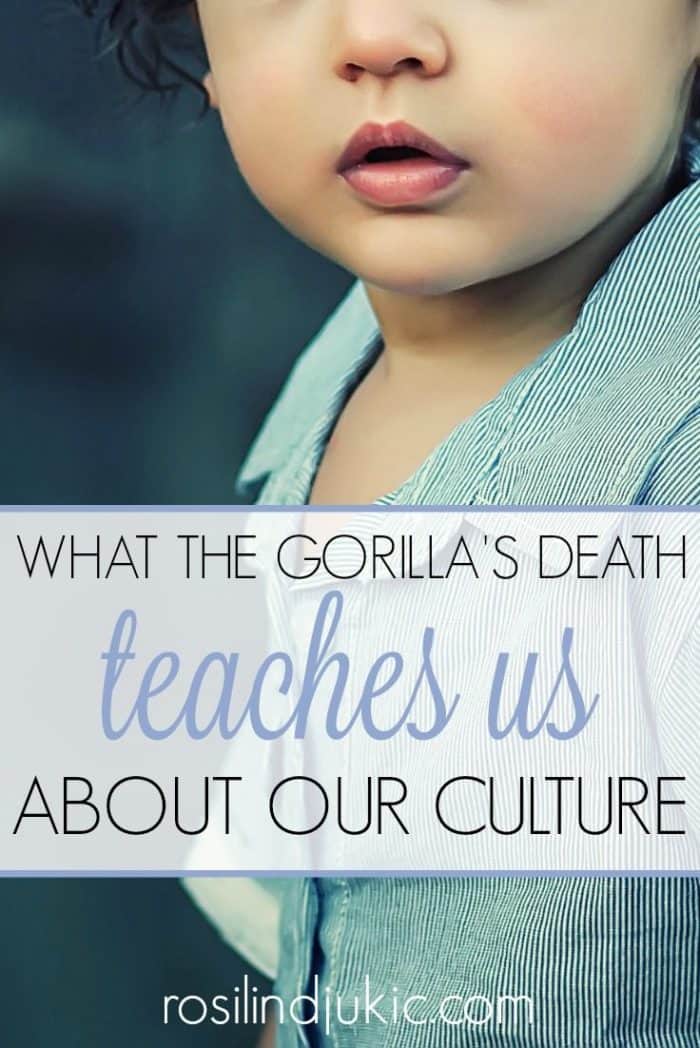 Here is what the gorilla's death has taught us about our culture and what happens to a culture when we remove God from society.