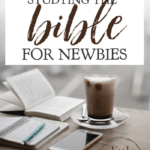 These are the best tips for how to start studying your Bible, if you're a beginner. Because studying the Bible is not the same as reading the Bible. #alittlerandr #biblestudy #readthebible #warroom