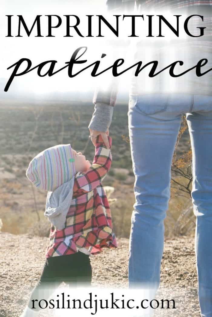 What is God using in your life today to remind you to imprint patience on the hearts of your children? Here is one mother's story.