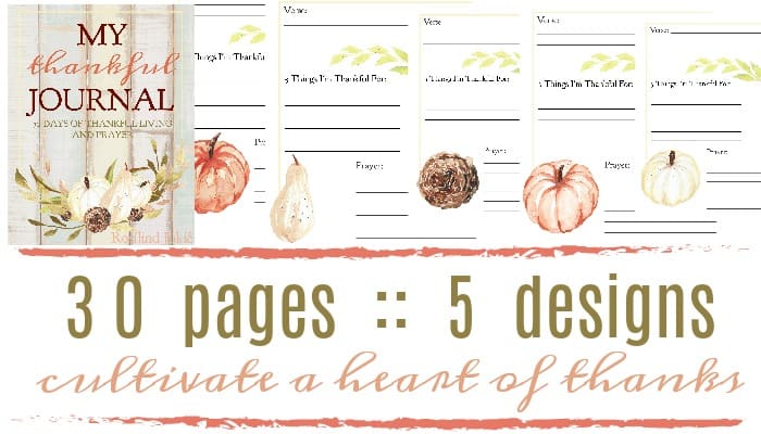 Join the thankful challenge today with this 30-day Thankfulness journal that helps you to journal your thoughts of gratitude and thanks.