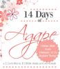 14 Days of Agape Online Bible Study ⋆ A Little R & R