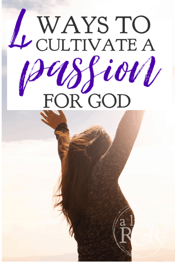 The Christian life is filled with mountain tops and valleys, but here are 4 ways we can cultivate a passion for God that sustains us during the valleys. #alittlerandr #Psalms #onlinewomensBiblestudy #onlinebiblestudy
