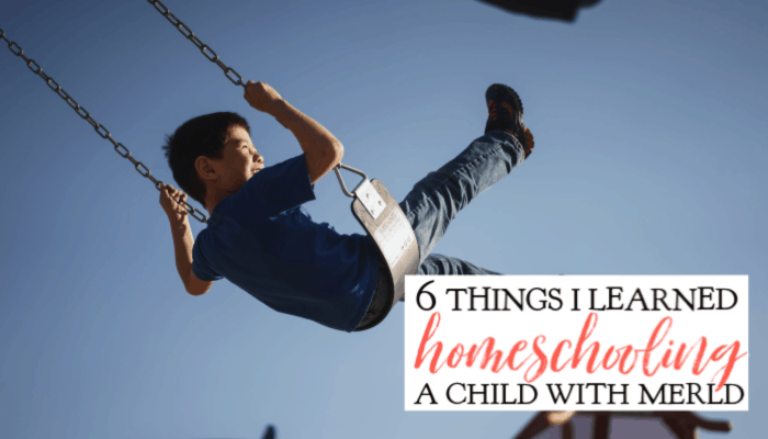 6 Things I Learned Homeschooling a Child with MERLD