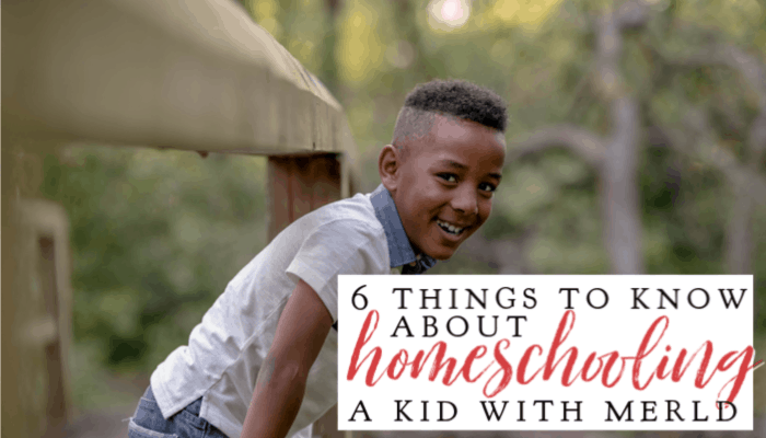 6 Things to Know About Homeschooling a Kid With MERLD