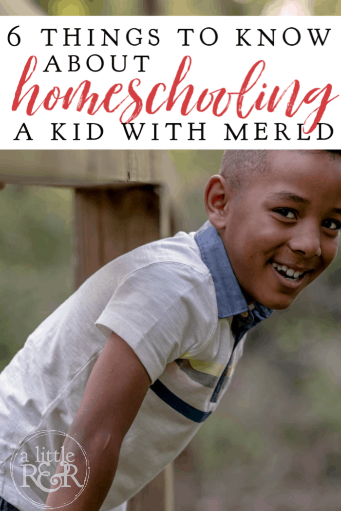 MERLD means Mixed Expressive-Receptive Lanugage Disorder. Here are 6 things parents need to know about homeschooling a kid with MERLD. #alittlerandr #MERLD #langaugedisorder #homeschool #specialneedshomeschooling