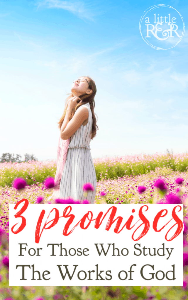 Those who study the works of God are truly the happiest people on earth. The Bible gives three outstanding promises to these people. #alittlerandr #promises #Bible #psalms