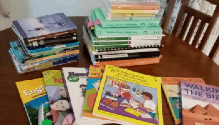 Our 4th and 2nd Grade Homeschool Curriculum Choices