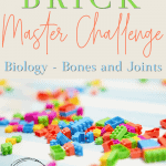 Brick Master Challenge Cards Biology Bones and Joints
