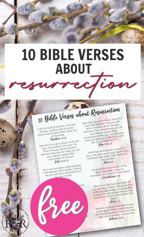 Layout of Bible verses about resurrection against a background of eggs and pussy willows