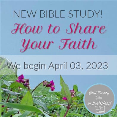 Pigma Micron Bible Study Kit 6pk (Other)