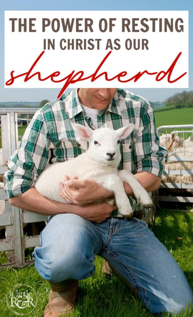 Man kneeling in jeans and holding a lamb