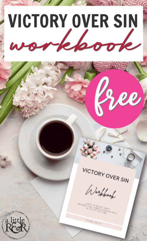 The Victory Over Sin Workbook layout