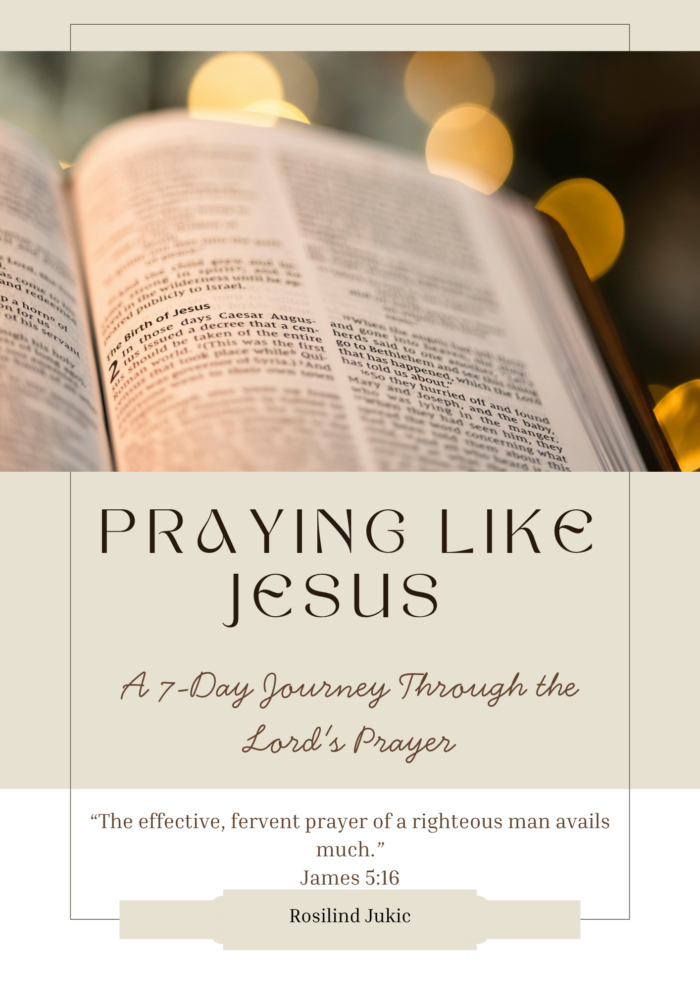 Praying Like Jesus journal cover