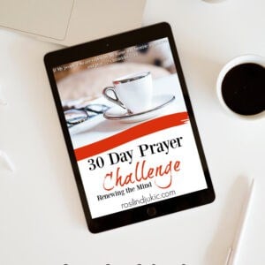 Layout of the 30-Day Prayer Challenge for Renewing Your Mind