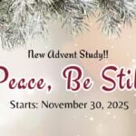 Will You Join Me For This New Advent Study on Peace