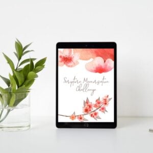 Scripture Memorization Challenge